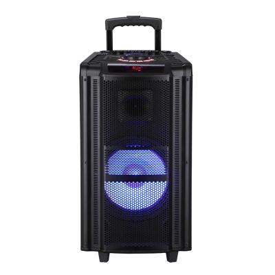 China Phone Operate 12 Inch High Quality Flashing Light Disco Loudspeaker Wireless Trolley Speaker for sale