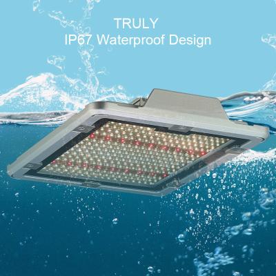 China Factory Wholesale 600W Indoor Starting Seed Led Grow Light SANAN SMD2835&2835 660NM Hydroponic Full Spectrum Grow Light for sale