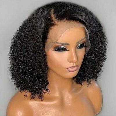 China Free Samples Afro Curly Curly Hair Afro Curly Hair Wigs Overnight Delivery,100% Natural Futura Lace Front Wigs,Brazilian Hair Wig For Women for sale