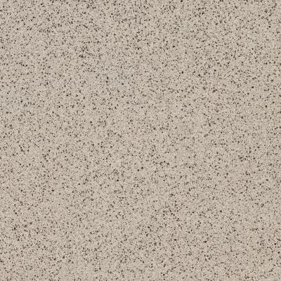 Cina Piastrelle di granito ceramiche per pavimenti in porcellanato antiscivolo 60x60 per materiali da costruzione in vendita