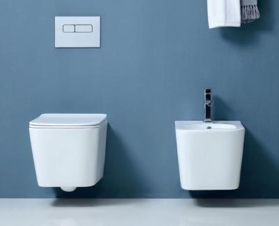 Cina One Piece Hotel Sanitary Ware Wall Hang Toilet con copertura seduta lenta P-trap drenaggio in vendita