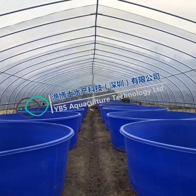 China Fish Farm Freshwater For Boom Grow Seedlings High Density Aquaculture System for sale