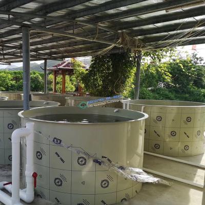 China Fish Rearing Tilapia Houseplant Raising Recycling Aquaculture System for sale