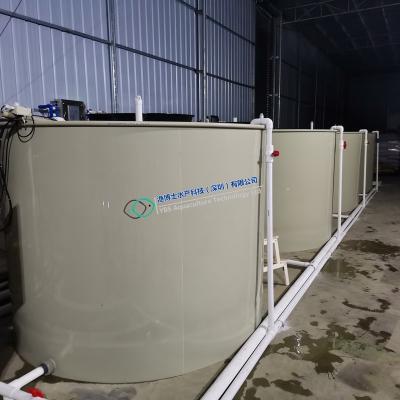 China Purify Intensive Commercial Water Aquaculture Recycling System For Young Fish Catfish Agriculture for sale