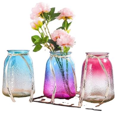 China Large Environmental Decorative Glass Vase Pot Colored Unique Clear Glass Flower Vase Flower Vase for sale