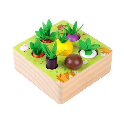 China Parent-Child Montessori Interactive Early Education Toys Children Harvest Carrots Grow Vegetable Fruit Learning Knowledge Educational Toys For Children for sale