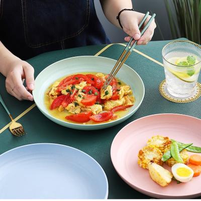 China Disposable Amazon Hot Sale Environmental Protection Wheat Straw Dish Wholesale Wheat Straw Fiber Plastic Dish 4 Sets for sale