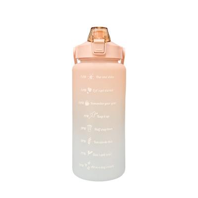 China Viable Factory New Design Large Capacity Heat Insulation Special Cold Single Sports Bottle With Straw for sale