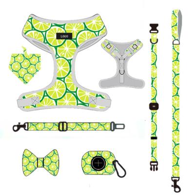 China New Arrival Adjustable Padded No Obstruction And Escape Proof Fabric Pet Harness for sale