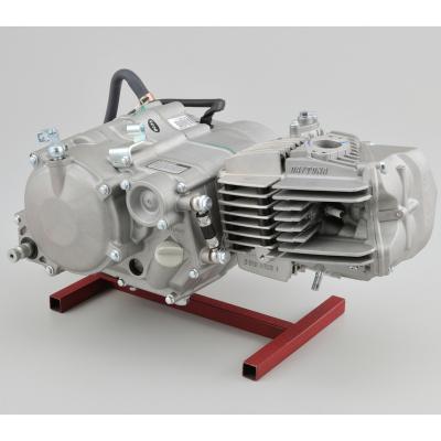 China Oil Cooling DAYTONA ENGINE Anima 4V 160CC for sale