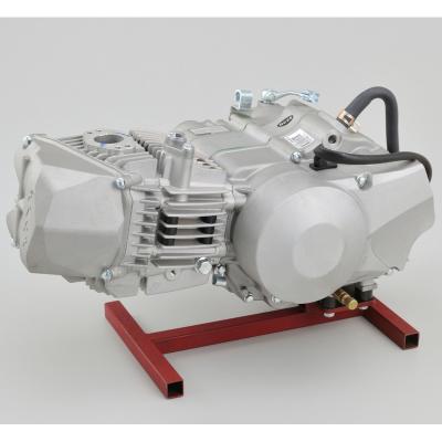 China Oil Cooling DAYTONA ENGINE Anima 4V 190CC for sale