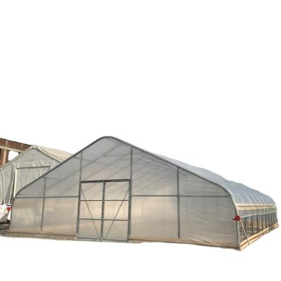 China Canada TMG 20ftx40ft Metal Foot Greenhouse Garden Greenhouses Planted Tent White Insulation for sale