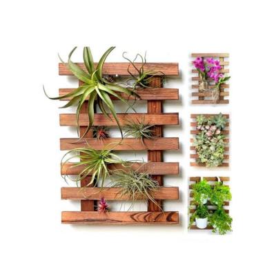 China Wooden Wall Mount Planters Orchid Planter Display Frame Durable Wood Material Wall Hanging Decor For Outdoor Plants for sale