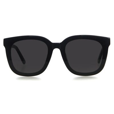 China Low Moq Unisex Oversized Square Sunglasses Fashion Acetate Sunglasses New Design Hot Sale for sale