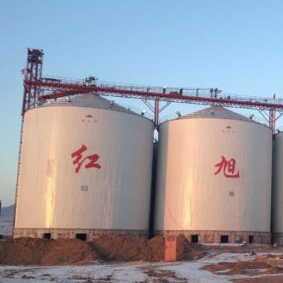 China Hotels Corn Wheat Storage Silos System Prices Paddy Soybean Rice Grain Galvanized Steel Silos for sale