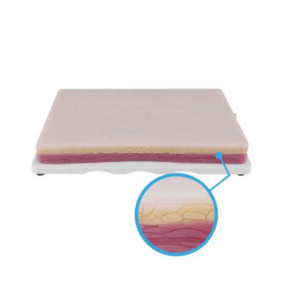 China Tape Nurse Doctor Student Use Intramuscular Venipuncture IV Injection Training Pad for sale