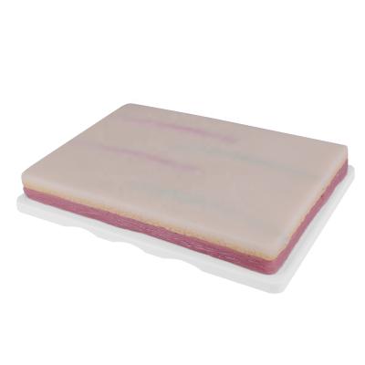 China Medical Tape IV Injection Model Venipuncture Injection Practice Pad IV Pad Training Pad for sale