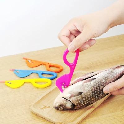 China Household Viable Cod Eel Convenient Trout Dissector Stainless Steel Plastic Fish Knife for sale