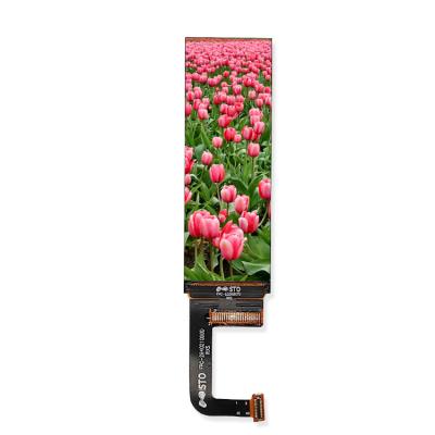 China Full HD Viewing 268*800 Pixels 2.99 Inch LCD Display LCD Screen LCD Module 2.99 for sale