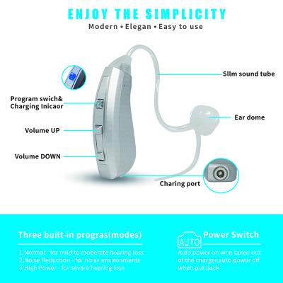 China Rechargeable Digital Charging Hearing Aids Open Hearing Aids Fit For Deaf Li for sale