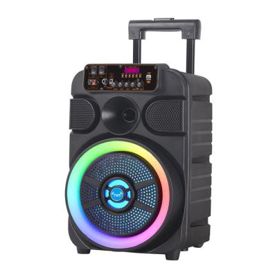 China New Portable Amazon Video Call Led 8inch Battery Lightweight Rechargeable Portable Trolley Speaker for sale