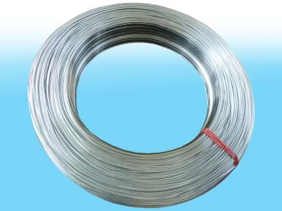 China El acero de carbono galvanizó el tubo de acero, cinc caliente cubrió 4,76 el × 0.55m m en venta