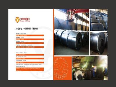 China bobina fría del acero de carbono en venta