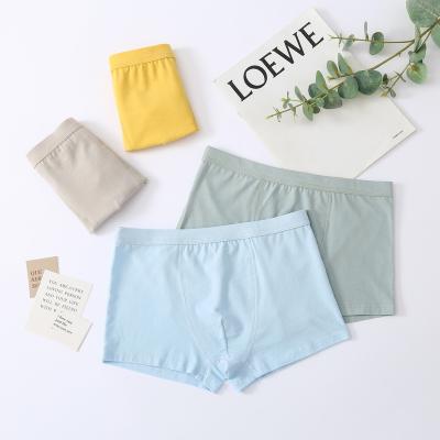 China Breathable Factory wholesale custom summer cotton solid color kids toddler girl shorts for sale