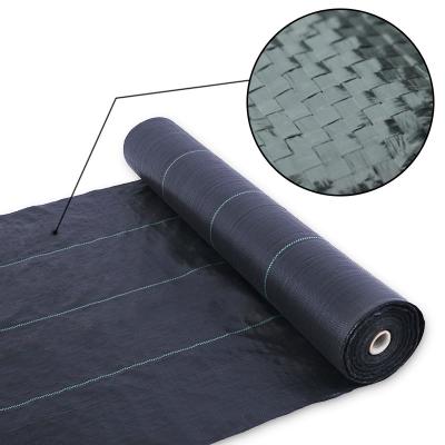 China Check layer protection/grass surface/anti weed mat wholesale pe mulch agricultural plastic plant cover insert/surface floor film whole landscape cloth for sale