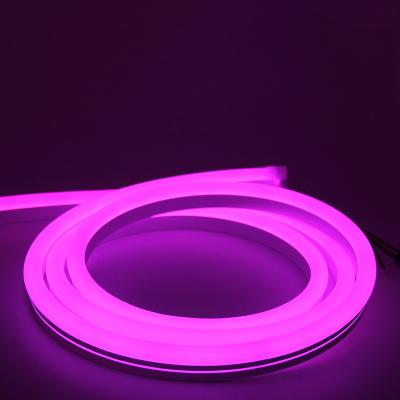 China High Quality Garden / Landscape / Sign Board LED Strip Light With Flexible Channel Profile Room Decoration Light DC 12V Input for sale