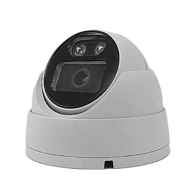 China Motion Detection Best Selling New Webcam Full Color Head Dome IP POE 5MP Focus Network Camera for sale