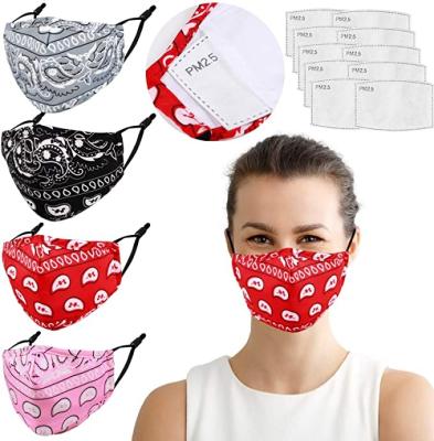 China Anti - PM2.5 Customized Adult Reusable Paisley Face Cover Washable With Adjustable Ear Loops for sale