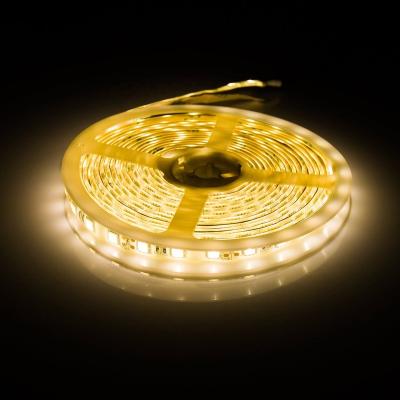 China Wholesale Quntis 5M Waterproof Warm White SMD5050 High Density Flexible LANDSCAPE LED Strip Light for sale