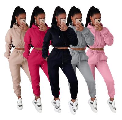 China 2021 wholesale QUICK DRY new suit cropped long sleeve sweatshirt 2 piece outfit ladies jogger hoodies set for women for sale