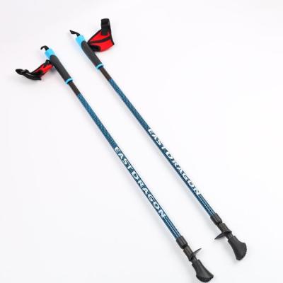 China 2021 Shockproof New Light Weight Telescopic Walking Pole Shockproof And Non Slip 2 Section Cane for sale