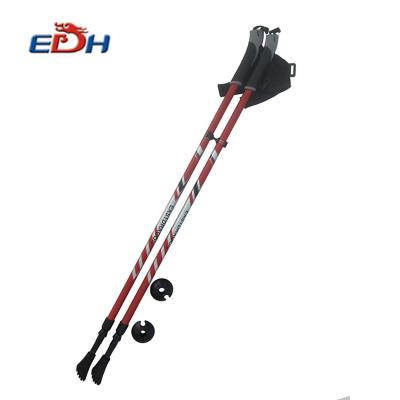 China Ultralight Adjustable Size Carbon Fiber Canes OEM 2 Section Nordic Walking Poles for sale