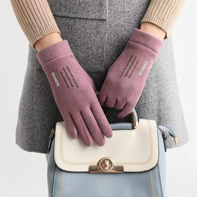 China Windproof And Cold Proof Velvet Touch Screen Self-Heating Winter Gloves Plus Rabbit Ladies Padded Cotton Riding Gloves for sale