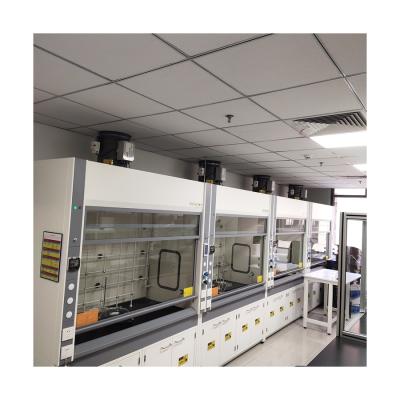 China Full Steel Steam Hood Modern Factory Custom Wholesale Lab Cabinet for sale