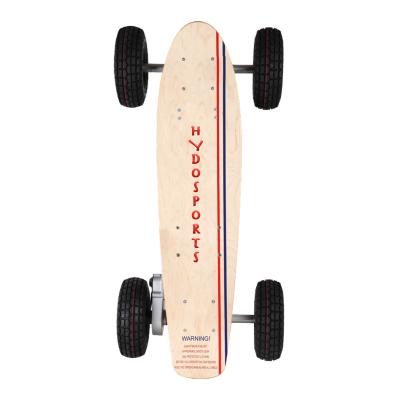 China Adult 400W 500W 900W 1200W 1300W 1500W 1800W 2200W 3000watt electric skateboard with wireless remote controller for sale