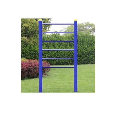 China Fitness Exercise Gym Wall Bars Fitness Equipment Outdoor Vertical Climbing Ladder For Wholesale for sale