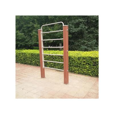 China Multi Professional Fitness Exercise Gym Wall Bars Fitness Wall Bars Equipment for sale