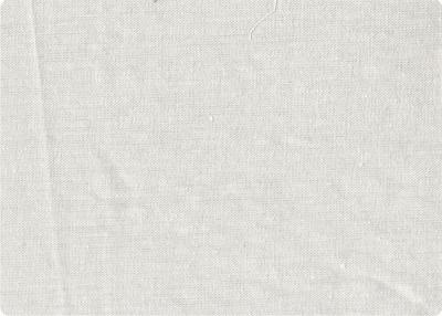 Chine Tissu 100% de tissu de vêtement de tissus de coton d'International 20*20 à vendre