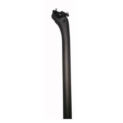 China Lightweight Adjustable Carbon Bicycle MTB Bicycle Post Seatpost 27.2/31.6 Seat Suspension Bicycle for sale