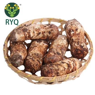 China RYQ 100% Fresh Vegan Fresh Matsutake Mushroom Dry Sliced ​​Pure Natural Matsutake Mushroom Slices 40g For BBQ for sale