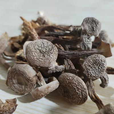 China High Nutritious Organic Wild Mushrooms Dried Velvet Mushrooms For Cooking Dried Velvet Mushrooms With Halal Certificated for sale