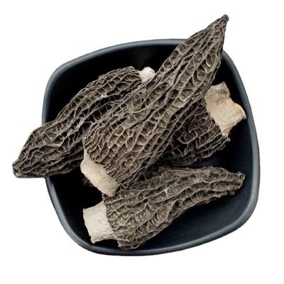 China Dried Typical Delicious Nightshades Spread Price Rich Wild Dried Mushrooms Wild Morchella Mineral Mushrooms for sale