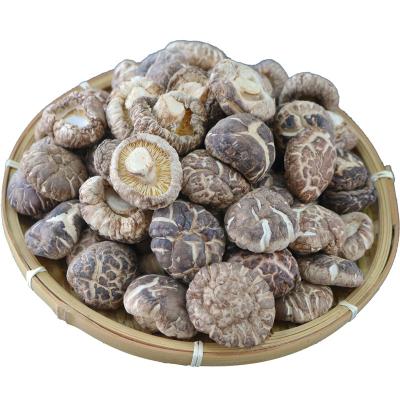 China Natural dried by lentinus edodes top level dried shiitake flower mushroom prices from china developed in bulk for sale