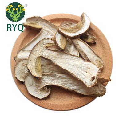 China RYQ Plant Mass Culture Dry Boletus Luteus Surful Yellow Porcini In Market Prices for sale