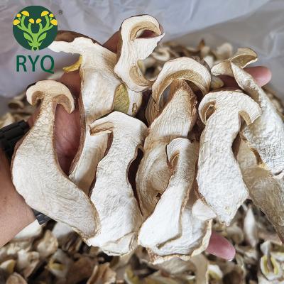 China TOP grade RYQ dry natural wild boletus edulis dried porcini mushroom with best price for sale