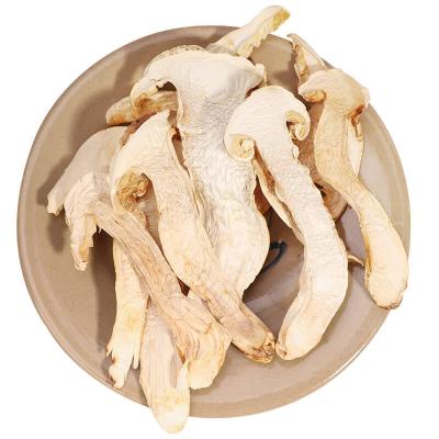 China RYQ Dry Hot Product Dried Matsutake Mushrooms Sliced ​​Dried Matsutakefor Canned Mushroom for sale